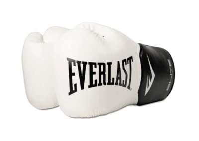 Boxeo Everlast