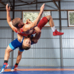 Wrestling o lucha libre