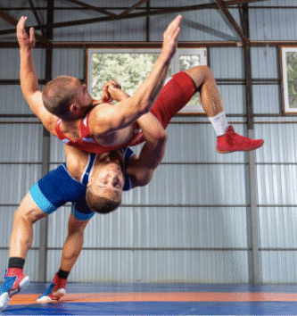 Wrestling o lucha libre