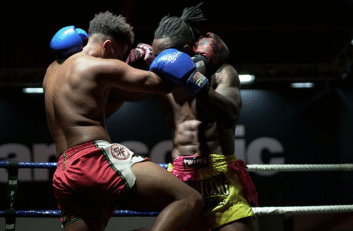 Coquilla para mma boxeo muay thai