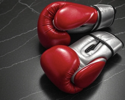 Equipamiento y guías para artes marciales. Descubre los mejores guantes de boxeo